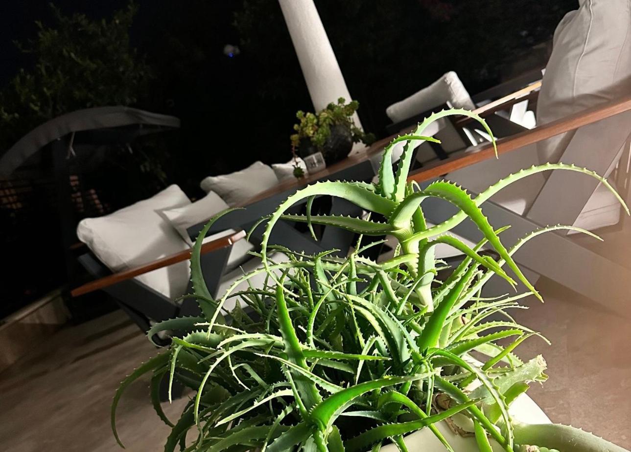 Noa Suite Hotel Only Adult Bodrum Bagian luar foto